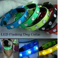 LED Dog Collar